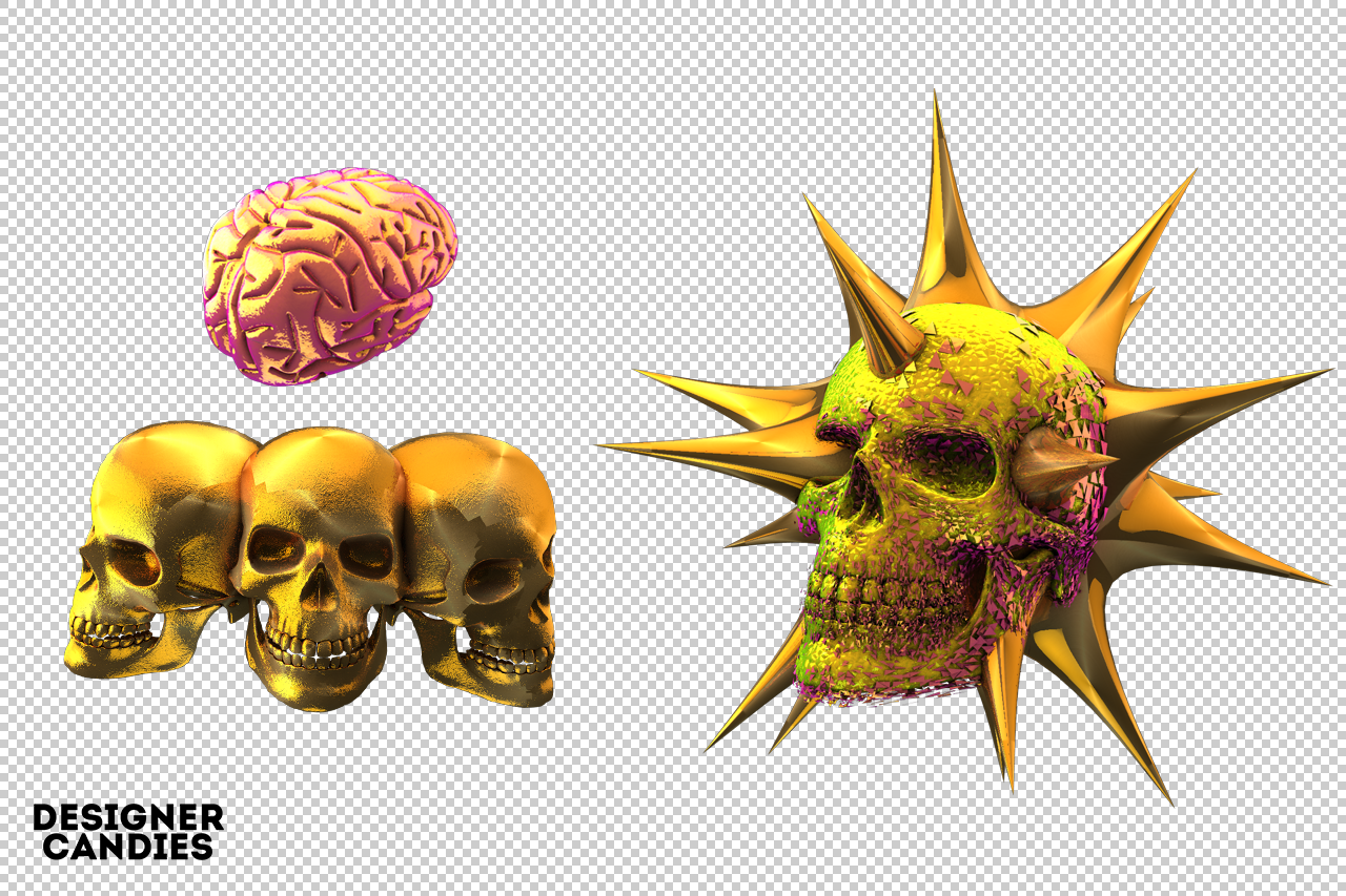 Free 3D Skull Renders