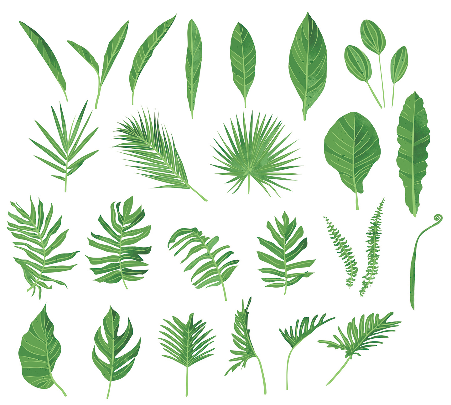 Green Watercolour Leaf/Leaves Vector