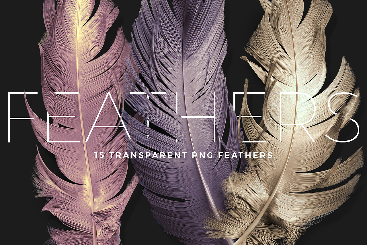 PNG Feather Renders Pack