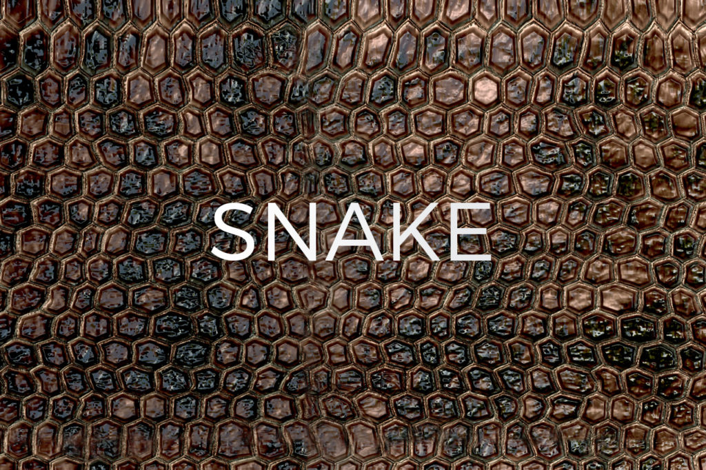 Snake Skin Pattern