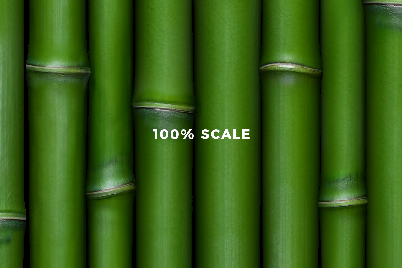 Bamboo Texture