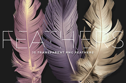 png-feathers-pack