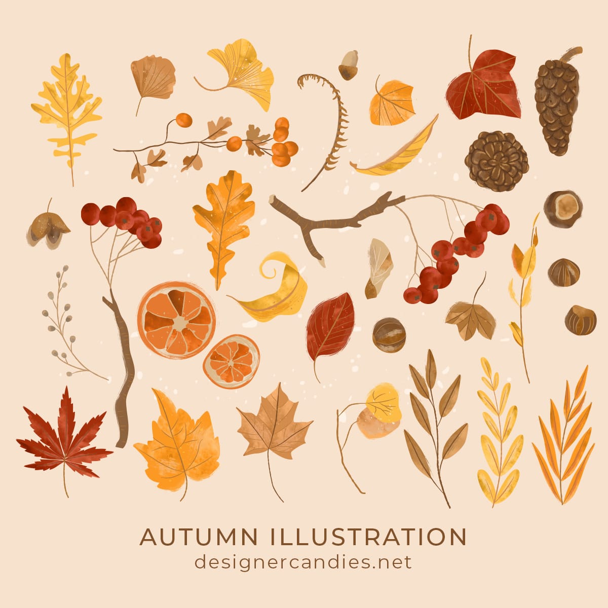 Autumn/Fall Vector Illustrations
