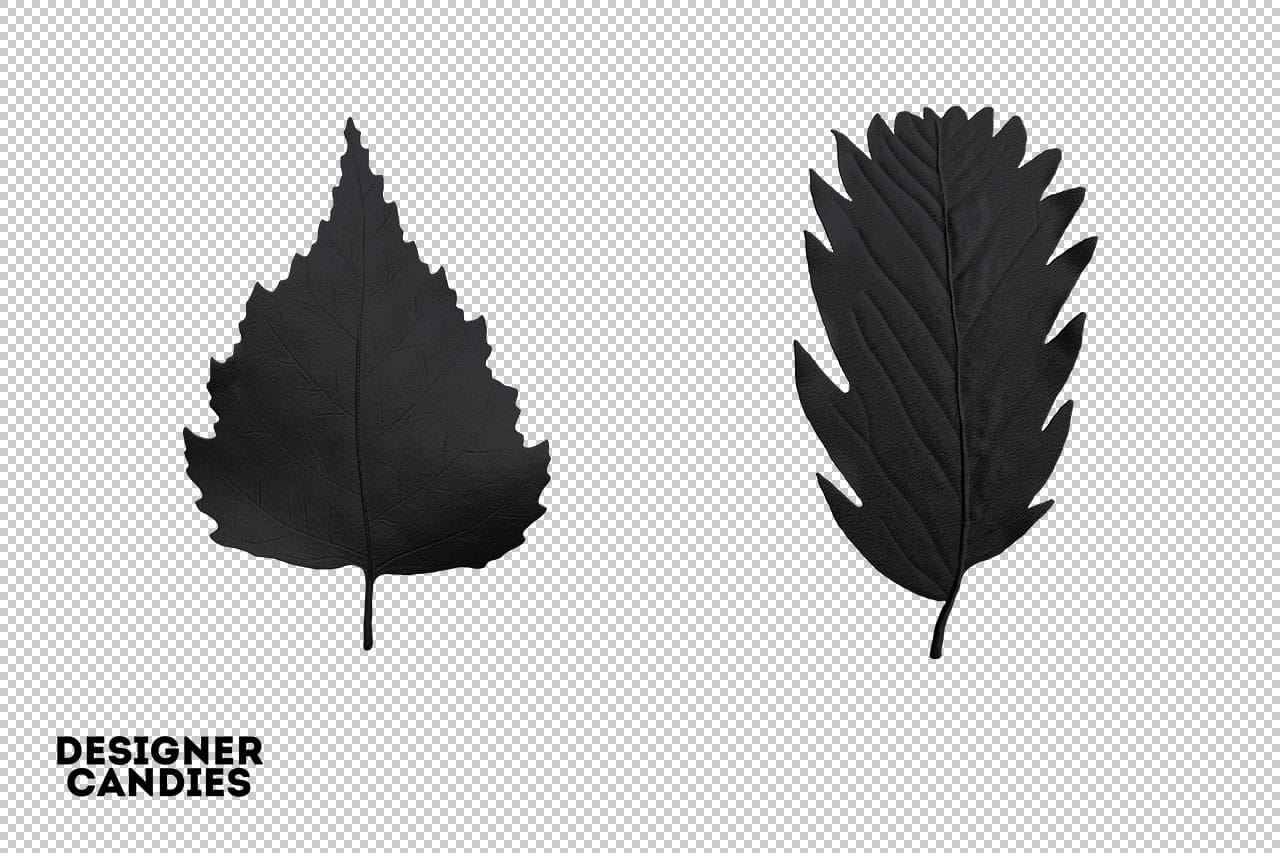 Black Leaf Clipart PNG