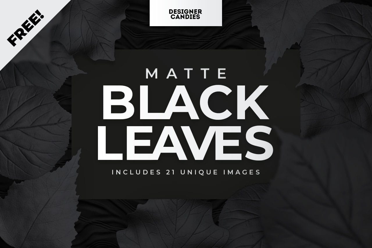 Transparent PNG Leaves Matte Black Edition
