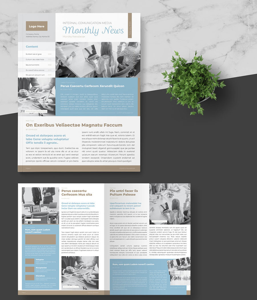 Business Newsletter Layout with Blue and Brown Accents