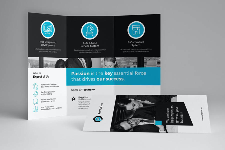 Professional Tri Fold Brochure Templates for InDesign 