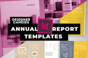 Top InDesign Annual report Templates