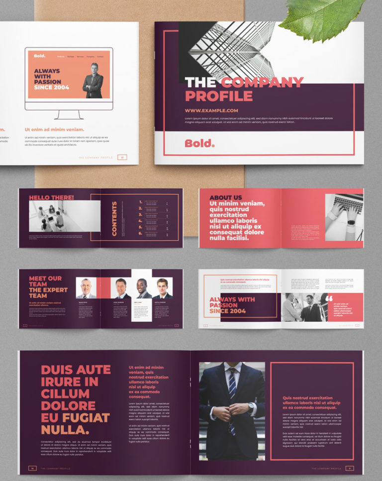 30+ Best Company Profile Templates for InDesign - DesignerCandies