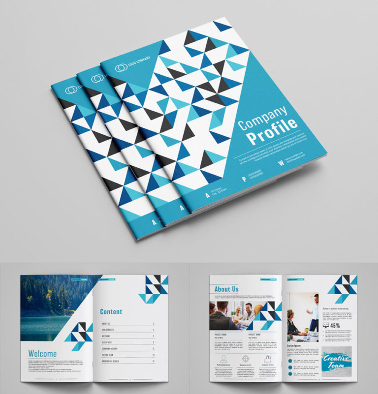 30+ Best Company Profile Templates for InDesign - DesignerCandies