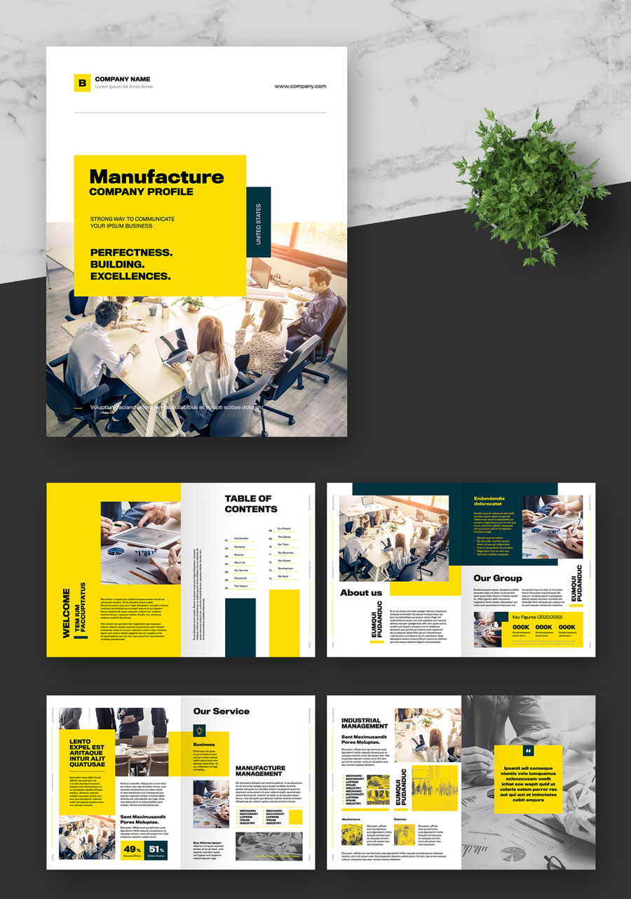 Company Profile Layout with Blue and Yellow Accents