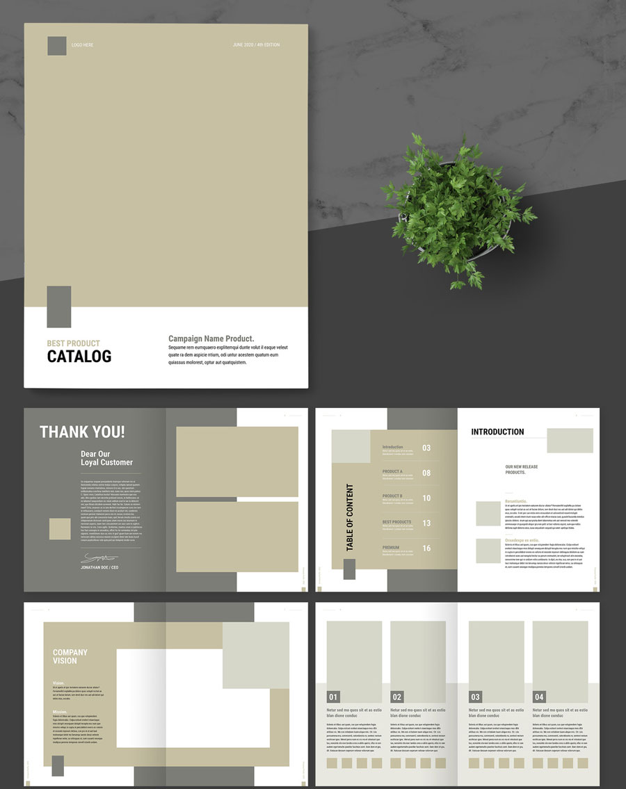 Product Catalog Layout with Brown Accent