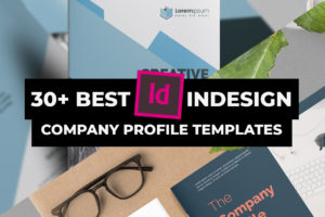 Best Company Profile Templates for InDesign