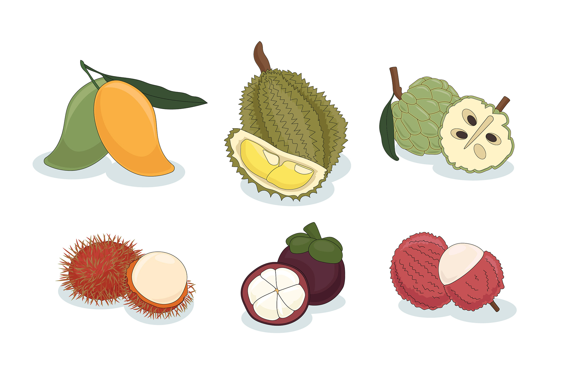Thai Asian Fruit Illustrations (AI, Vector Formats)
