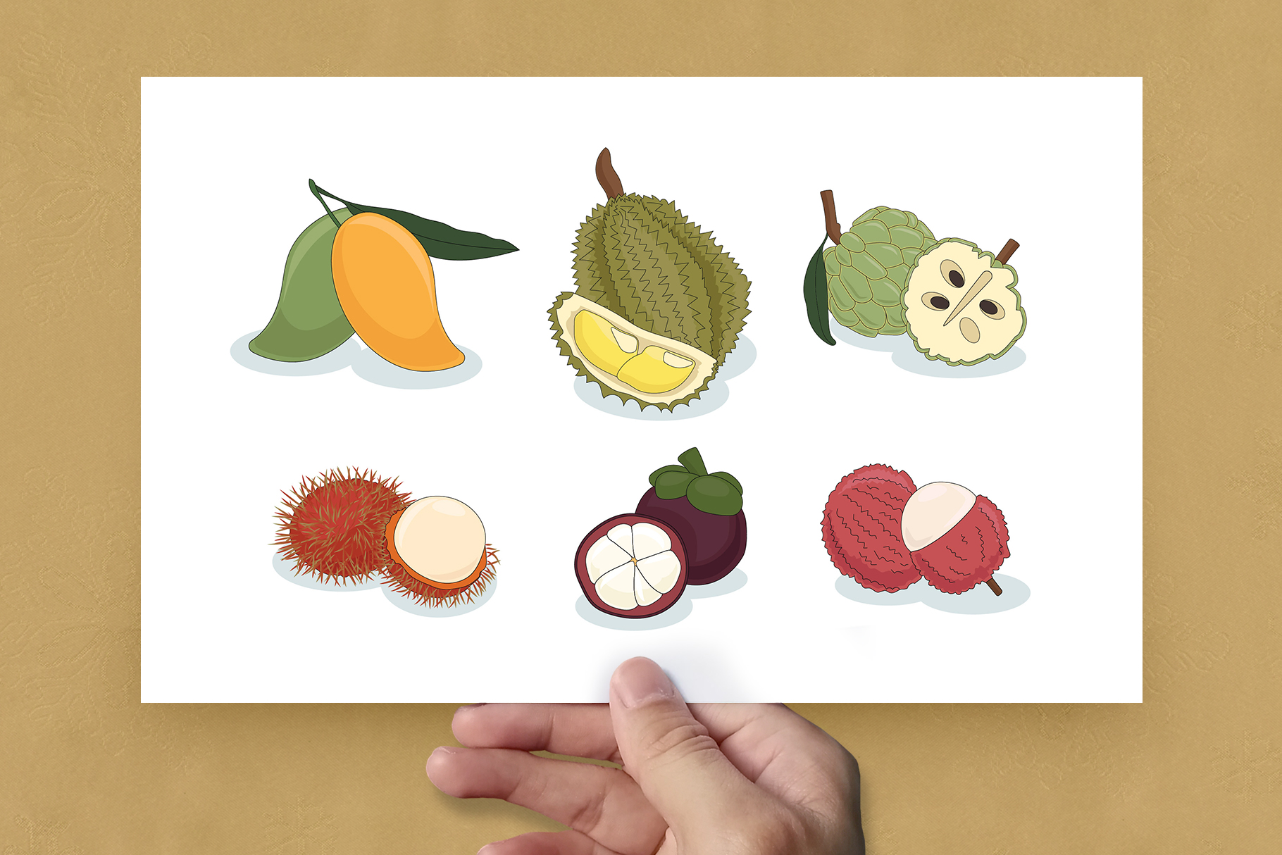 Thai Asian Fruit Illustrations (AI, Vector Formats)