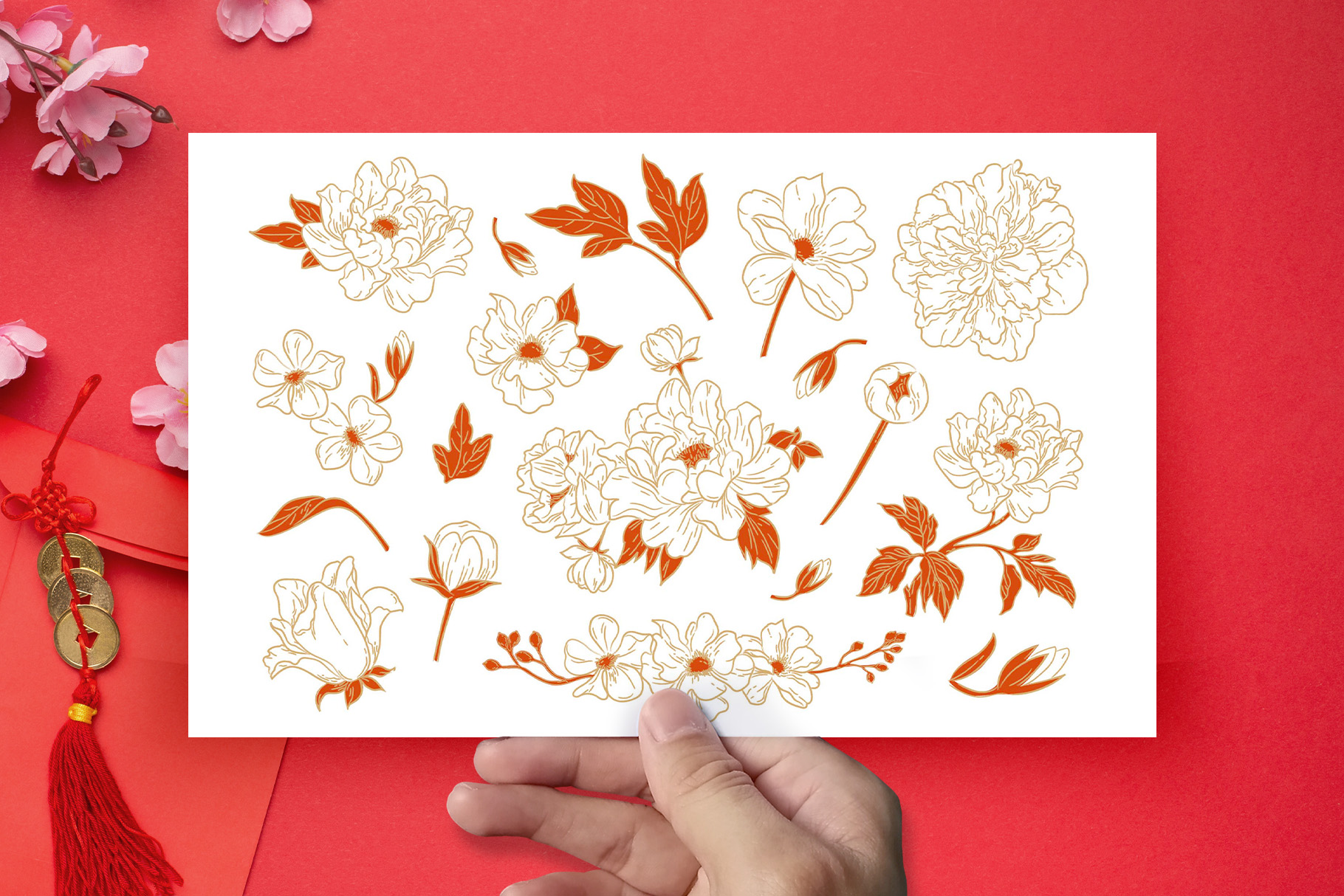 Chinese Peony Flower Illustrations (AI, Vector Formats)