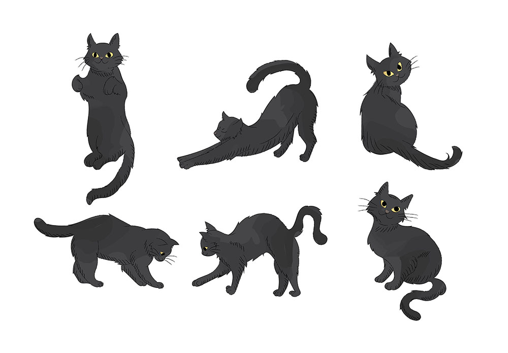 Black Cat PNG Clipart Vector Illustration