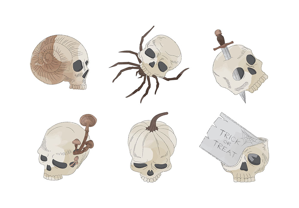 Skulls PNG Clipart Vector Illustration