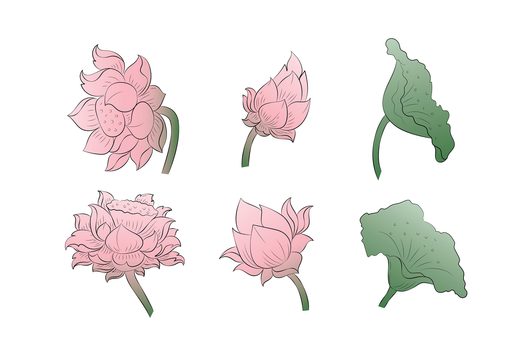 Thai Lotus Clipart Illustrations (AI, EPS Format)