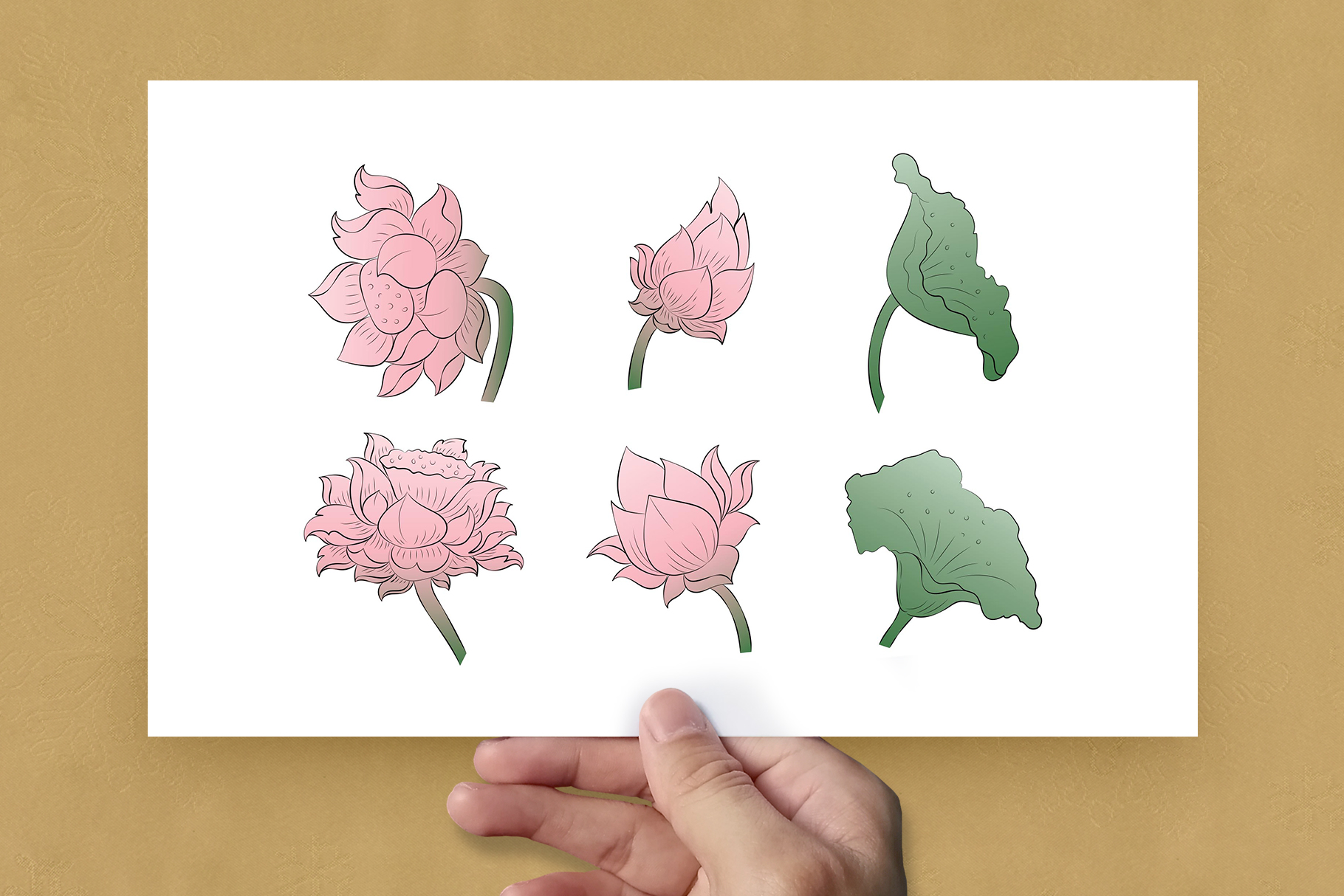 Thai Lotus Clipart Illustrations (AI, EPS Format)