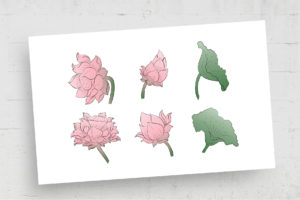 Thai Lotus Clipart Illustrations (AI, EPS Format)