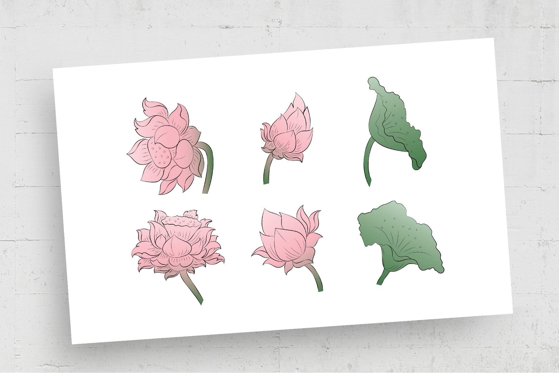 Thai Lotus Clipart Illustrations (AI, EPS Format)