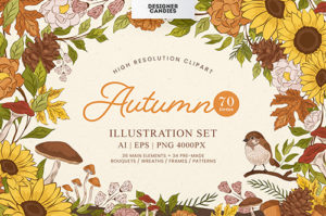 Fall Autumn Illustrations Set
