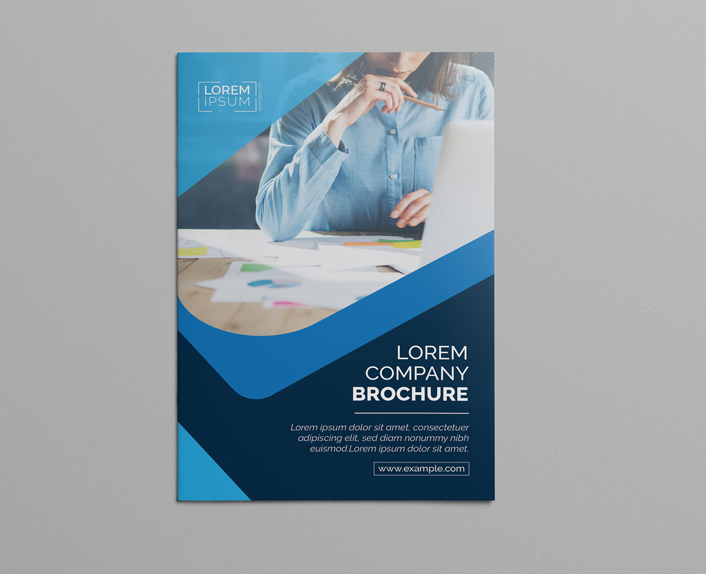 bifold-brochure-layout-with-blue-accents-illustrator