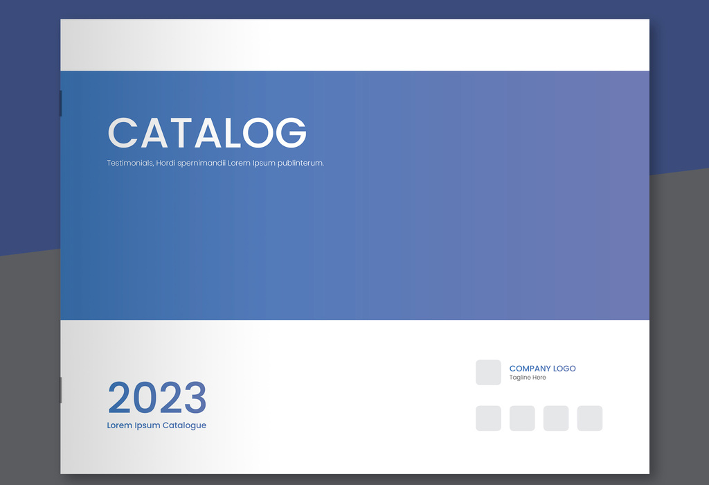 product-catalog-layout-with-blue-accents-indd