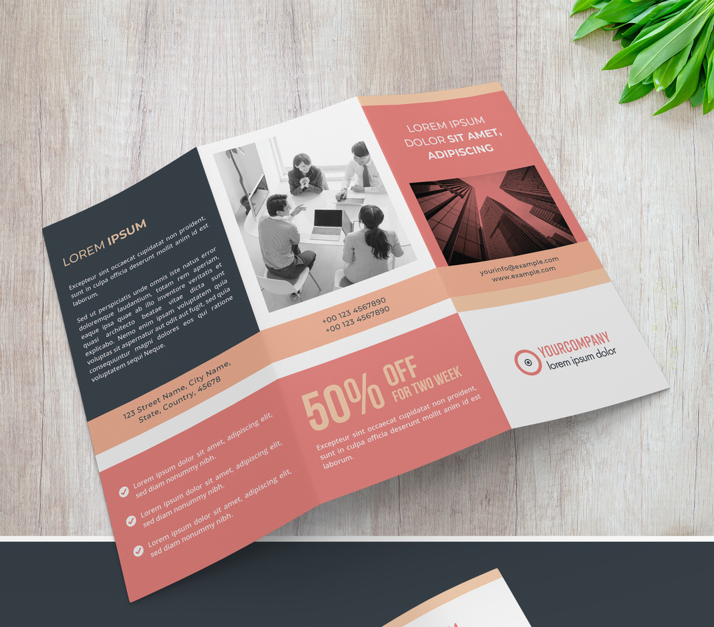 trifold-brochure-layout-with-pink-accents-illustrator