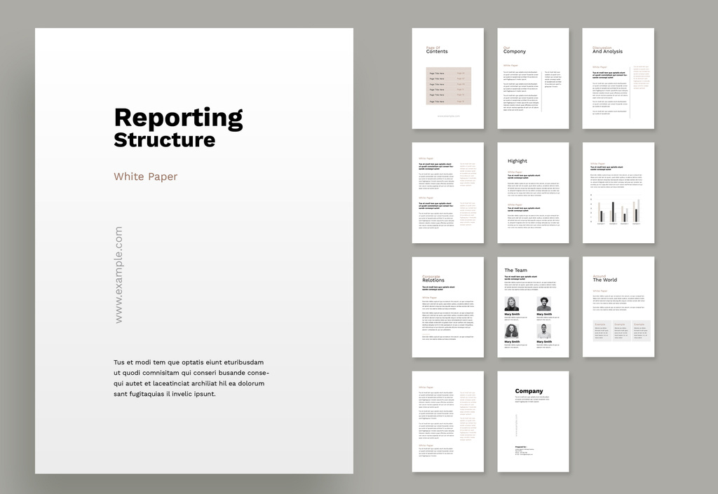 white-paper-corporate-layout-indd