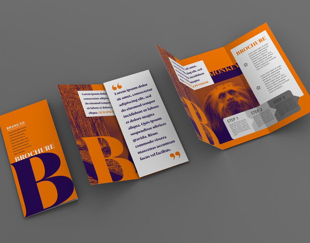 3 Trifold Brochure Mockups (PSD Format)