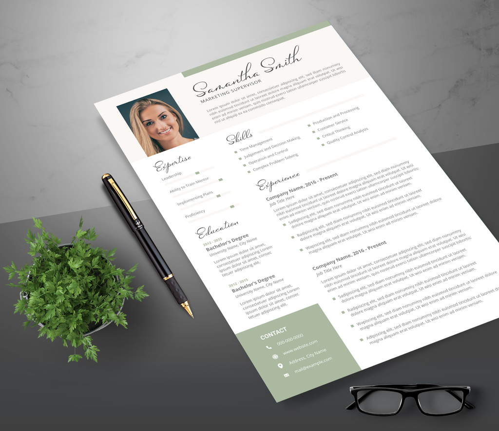 Marketing Consultant Resume Layout (AI Format)