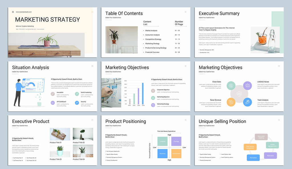 Marketing Strategy Presentation (INDD Format)