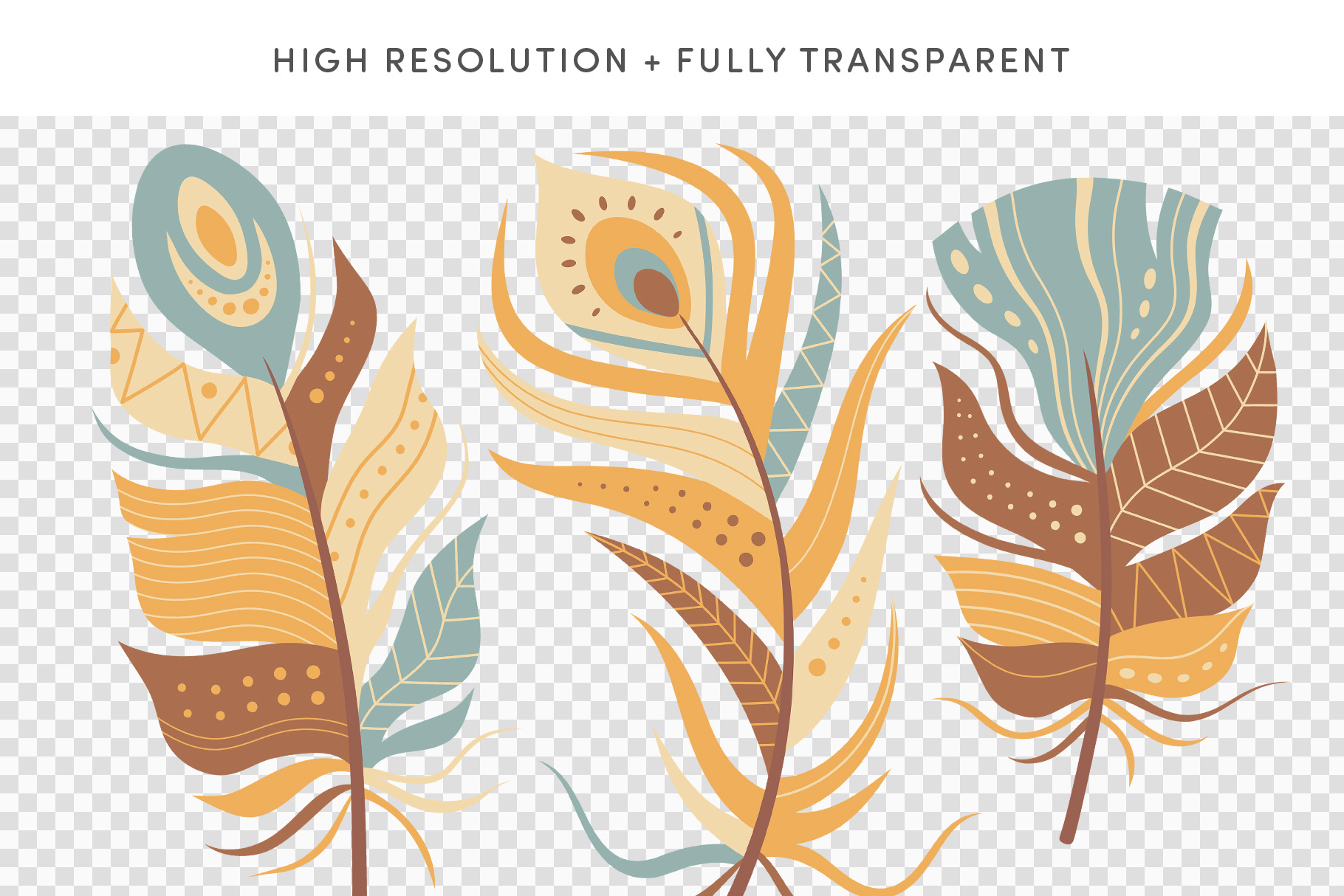 Feather Vector Graphics Pack (PSD, EPS, AI, PAT, PNG Format)