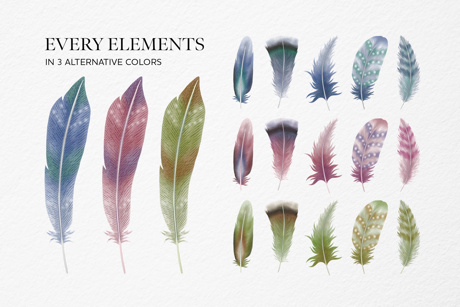 Feathers Watercolor Clipart (PSD, PNG, PAT Format)