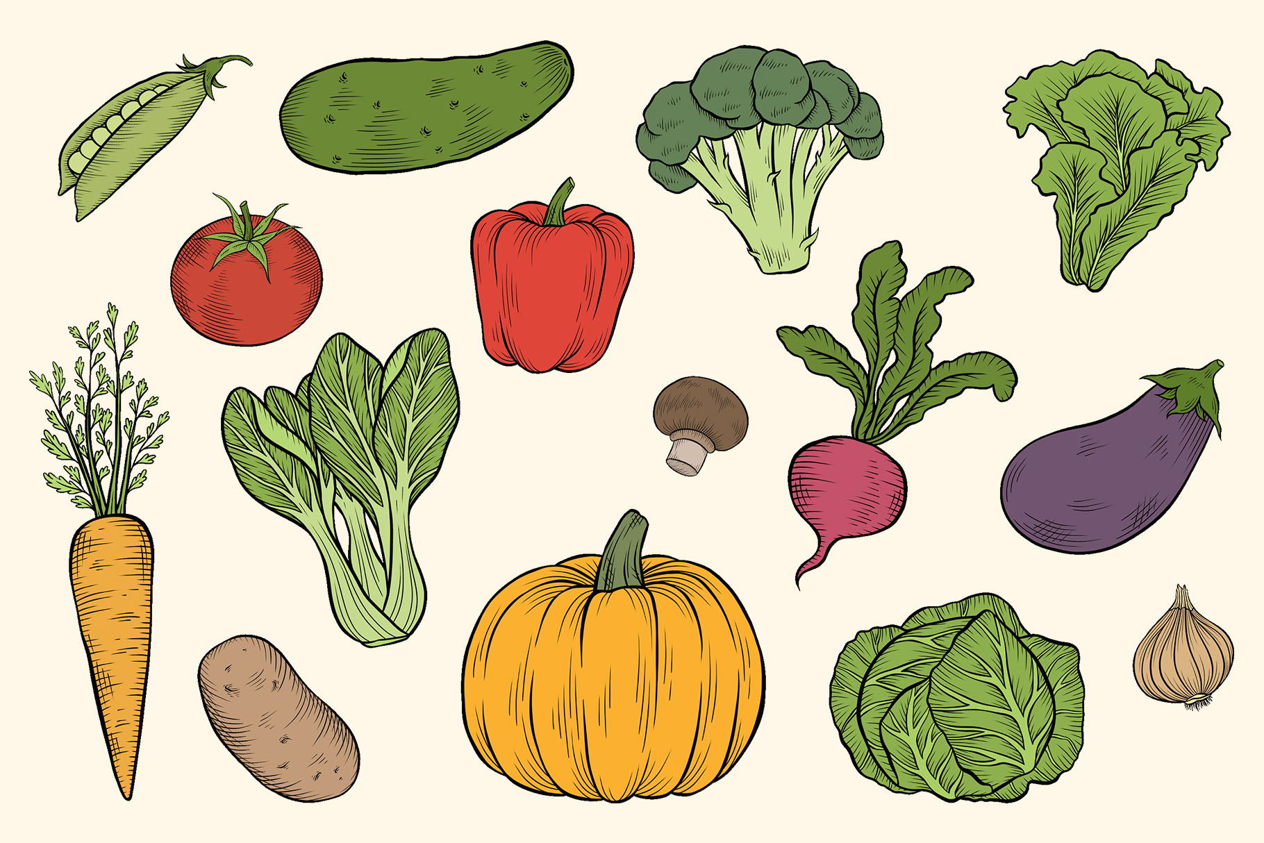 Vegetable Clipart Illustrations (PSD, PNG Format)