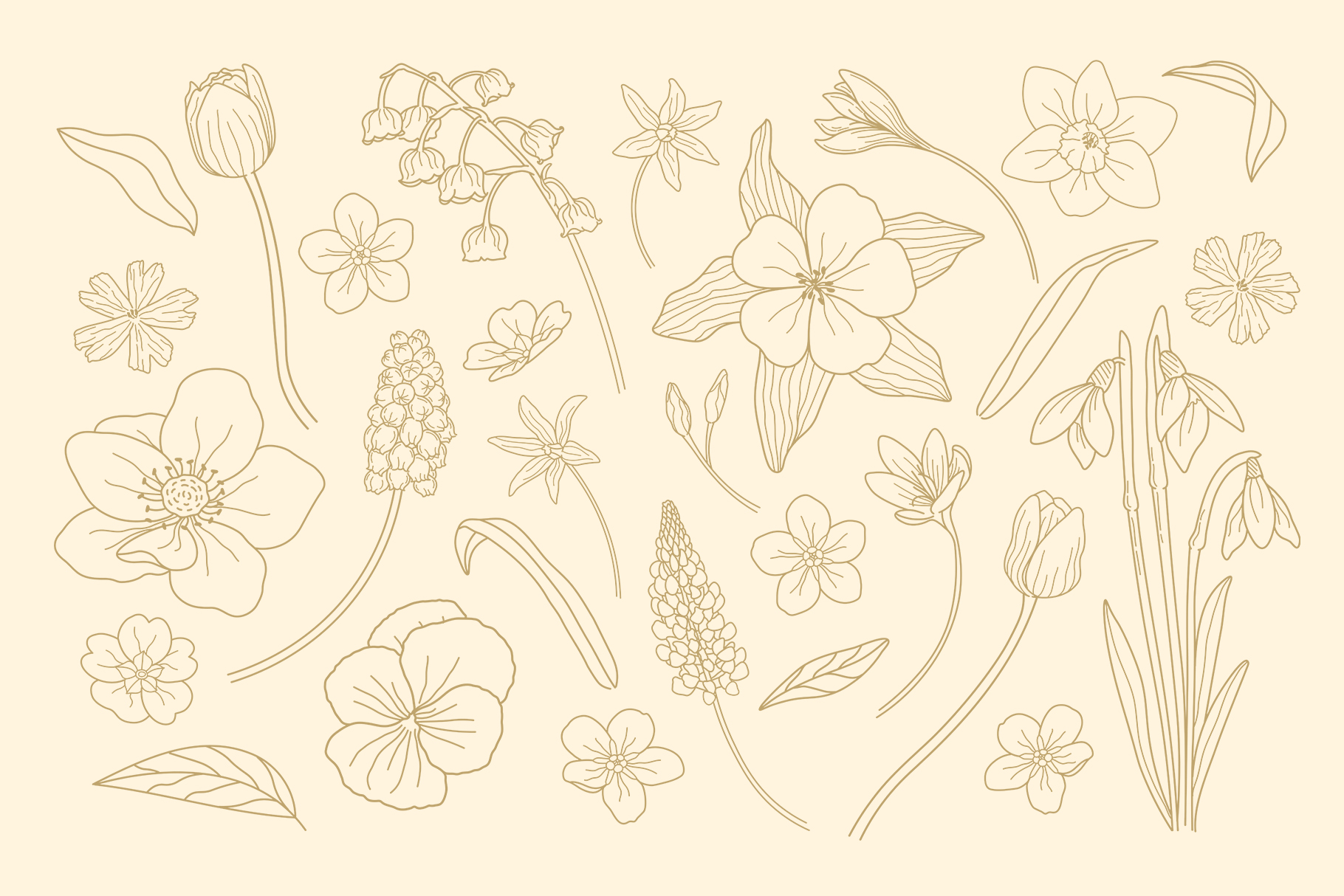 Spring Flower Illustration (AI, EPS, PNG Format)