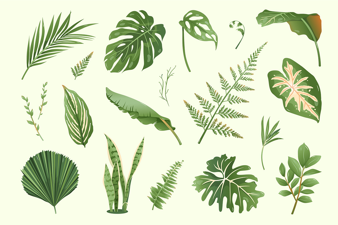 Tropical Leaves & Foliage Illustrations (AI, EPS, PNG Format)