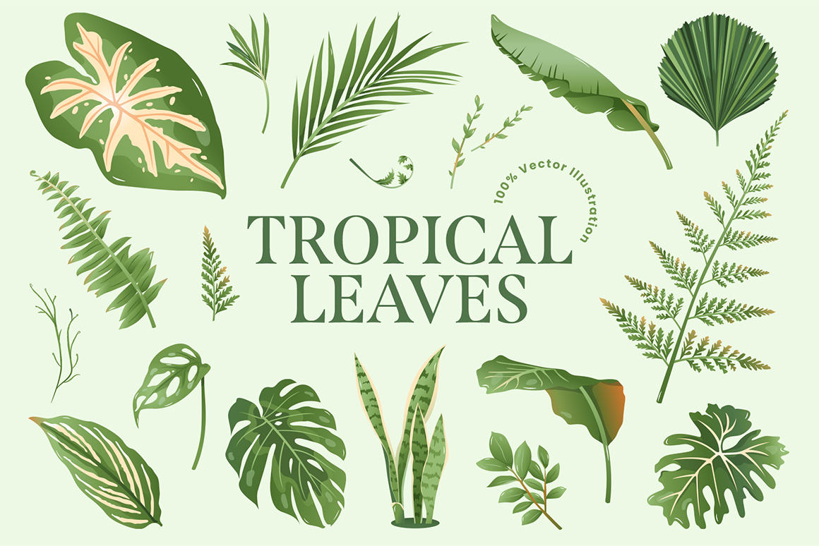 Tropical Leaves & Foliage Illustrations (AI, EPS, PNG Format)