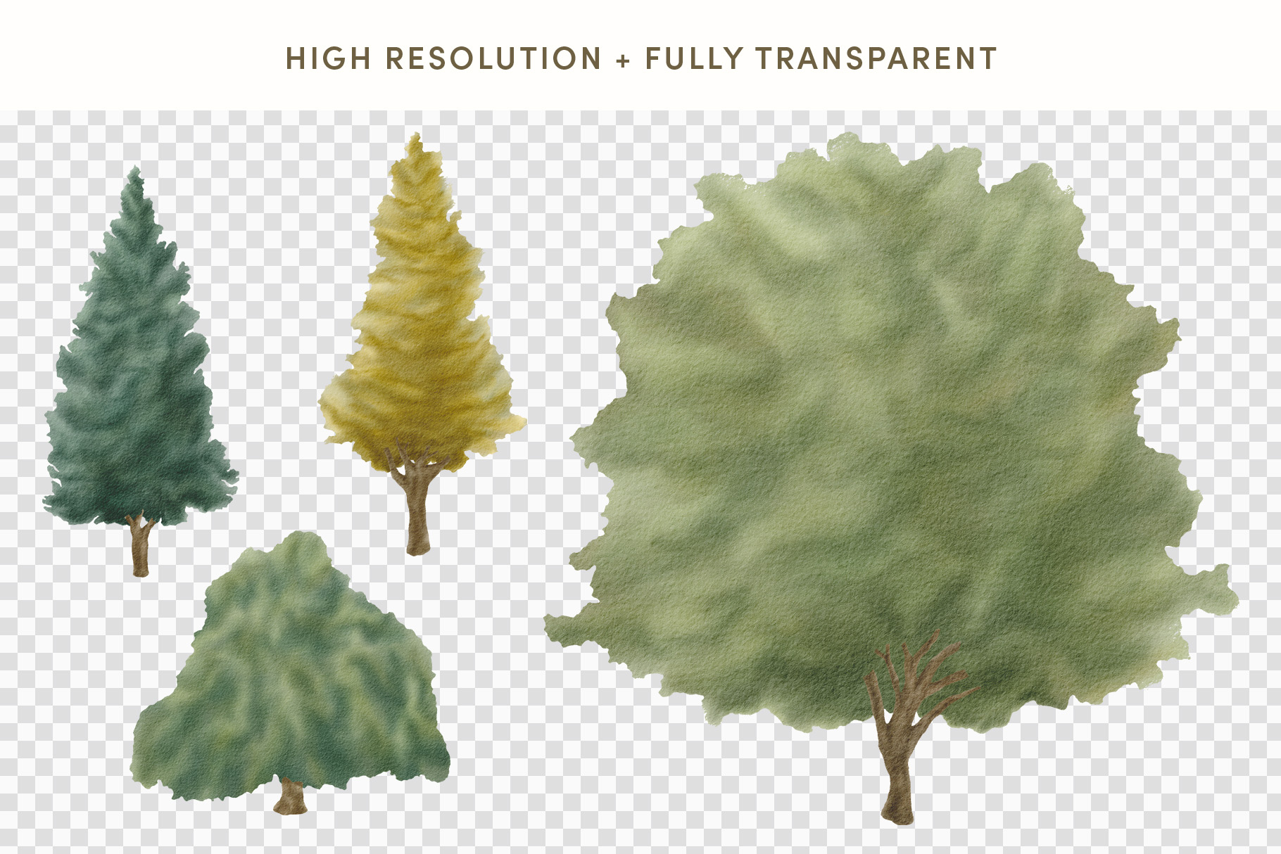 Watercolor Trees Illustration Set (PSD, PNG Format)