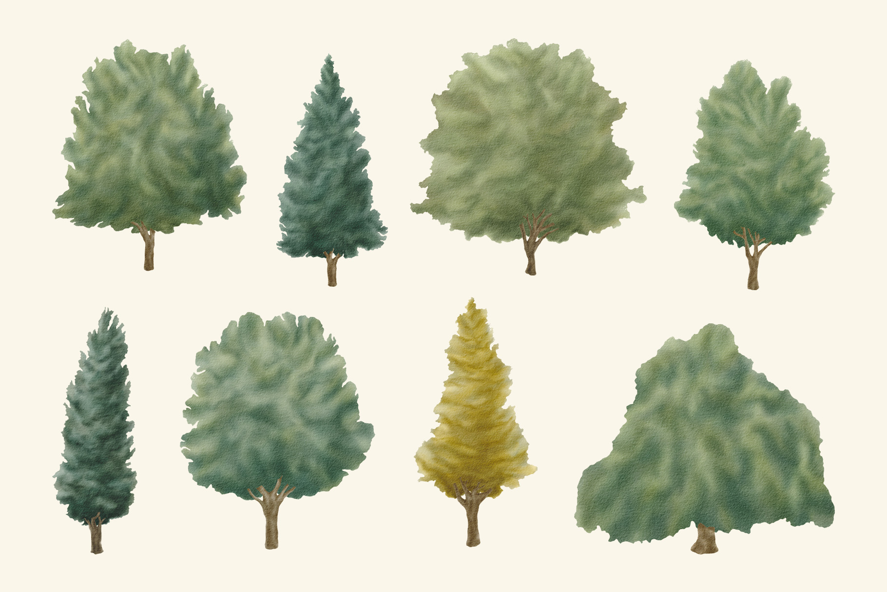 Watercolor Trees Illustration Set (PSD, PNG Format)