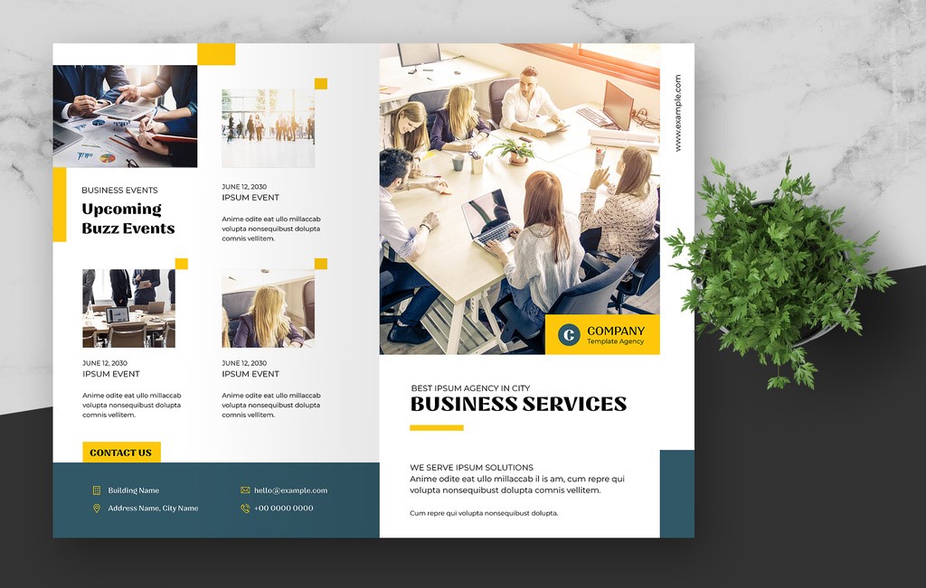 bifold-brochure-layout-with-blue-and-yellow-accents-indd