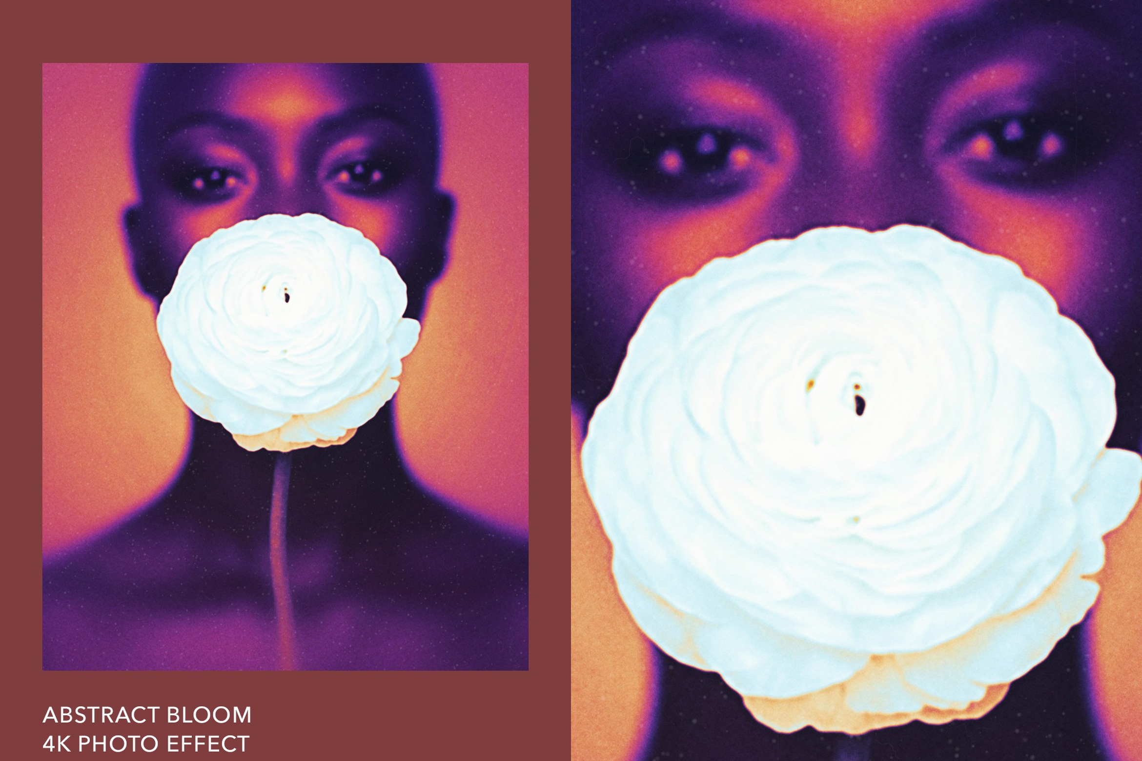 Abstract Bloom Photo Effect Template - DesignerCandies